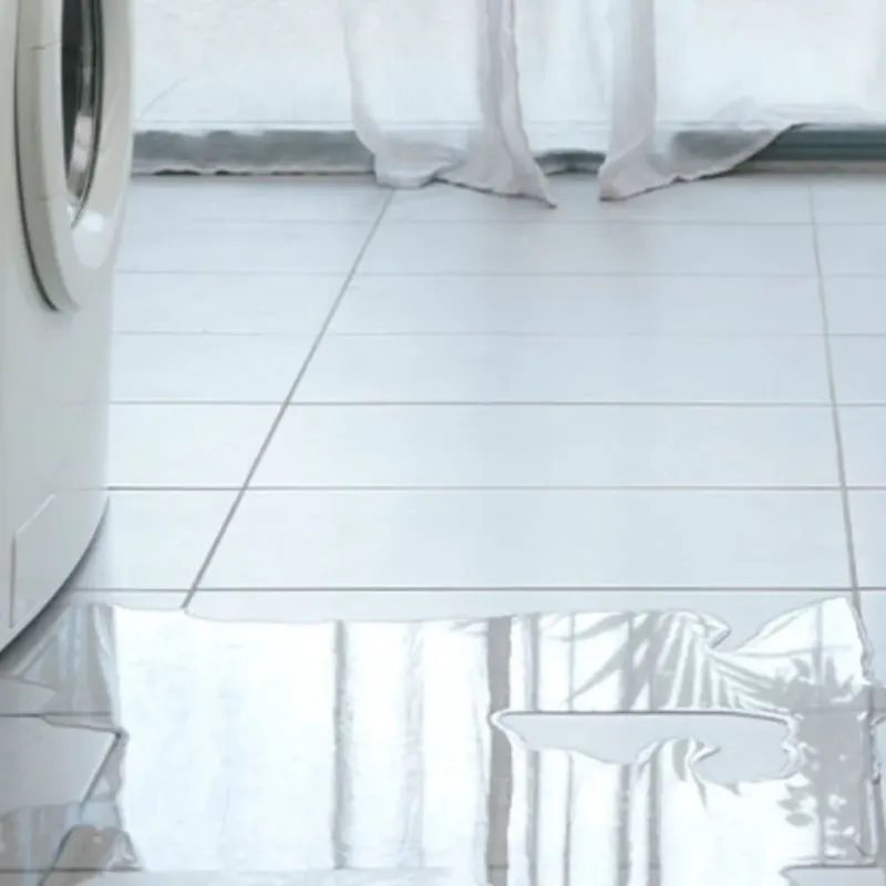 Appliance Leak Cleanup in Devens, MA