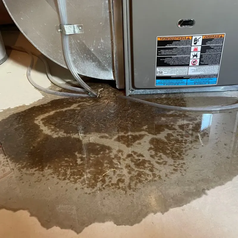 Pipe Burst and Leak Restoration in Devens, MA